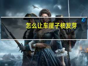 怎么让车厘子核发芽