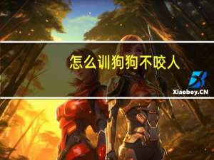 怎么训狗狗不咬人