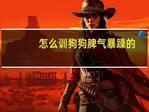 怎么训狗狗脾气暴躁的