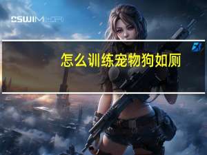 怎么训练宠物狗如厕