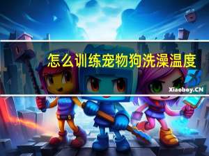 怎么训练宠物狗洗澡温度