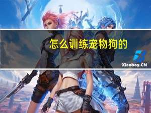 怎么训练宠物狗的