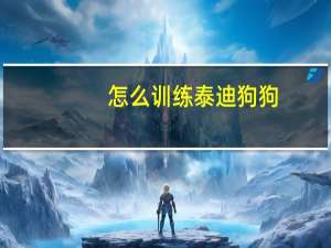 怎么训练泰迪狗狗