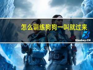 怎么训练狗狗一叫就过来
