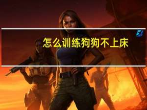 怎么训练狗狗不上床