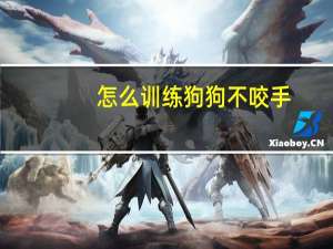 怎么训练狗狗不咬手