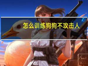 怎么训练狗狗不攻击人
