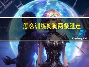 怎么训练狗狗两条腿走