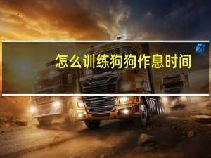 怎么训练狗狗作息时间