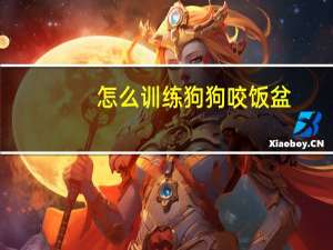 怎么训练狗狗咬饭盆