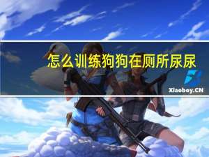怎么训练狗狗在厕所尿尿