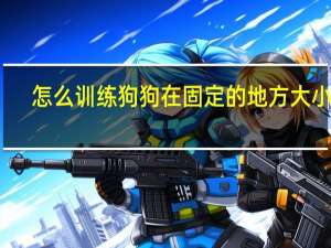 怎么训练狗狗在固定的地方大小便
