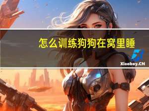 怎么训练狗狗在窝里睡