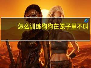 怎么训练狗狗在笼子里不叫