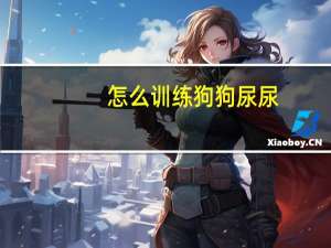 怎么训练狗狗尿尿