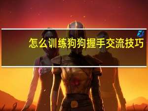 怎么训练狗狗握手交流技巧