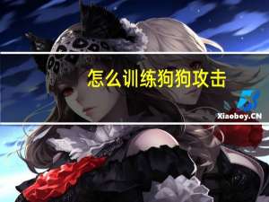 怎么训练狗狗攻击