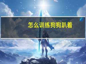 怎么训练狗狗趴着