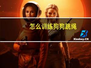 怎么训练狗狗跳绳