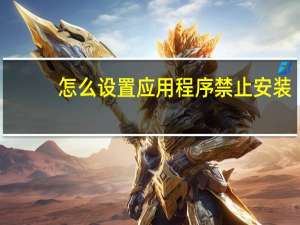 怎么设置应用程序禁止安装
