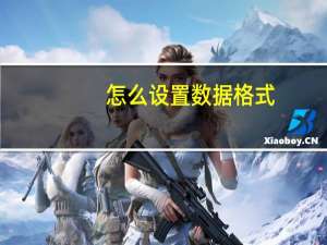 怎么设置数据格式