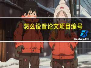 怎么设置论文项目编号