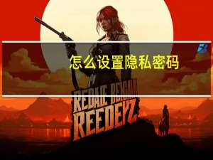 怎么设置隐私密码