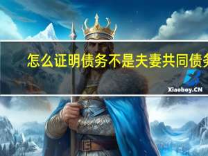 怎么证明债务不是夫妻共同债务