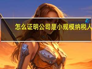 怎么证明公司是小规模纳税人