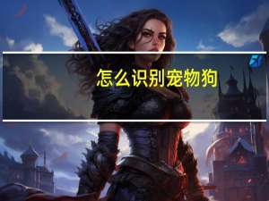 怎么识别宠物狗