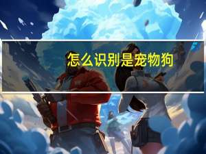 怎么识别是宠物狗