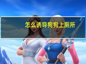 怎么诱导狗狗上厕所