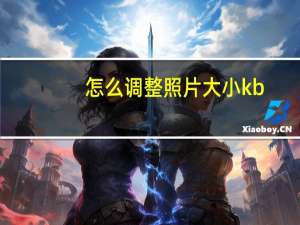 怎么调整照片大小kb