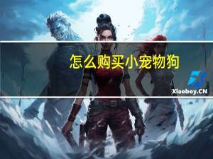 怎么购买小宠物狗
