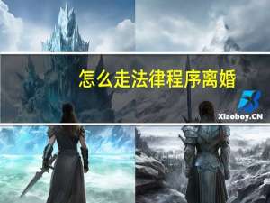 怎么走法律程序离婚