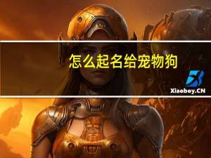 怎么起名给宠物狗