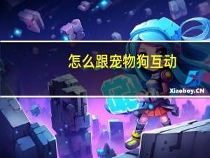 怎么跟宠物狗互动
