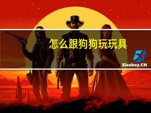 怎么跟狗狗玩玩具