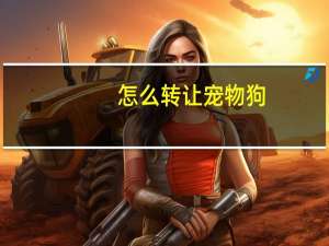 怎么转让宠物狗