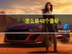怎么输48个音标