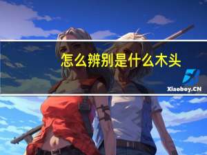 怎么辨别是什么木头