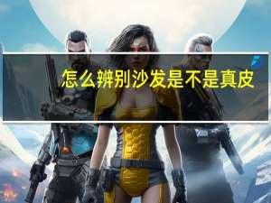 怎么辨别沙发是不是真皮