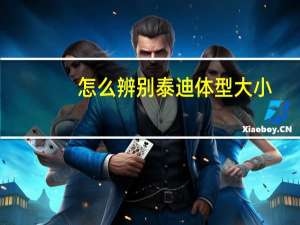 怎么辨别泰迪体型大小