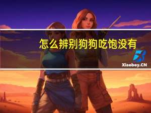 怎么辨别狗狗吃饱没有