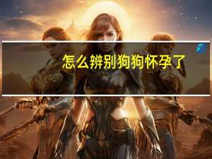 怎么辨别狗狗怀孕了