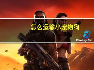 怎么运输小宠物狗