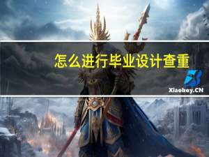怎么进行毕业设计查重