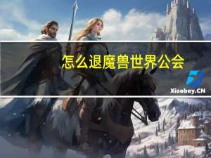 怎么退魔兽世界公会（wow怎么退工会）