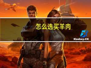 怎么选买羊肉
