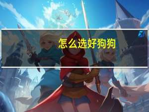 怎么选好狗狗